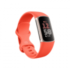 Fitbit Charge 6