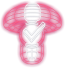 Vēlēšanu sēne